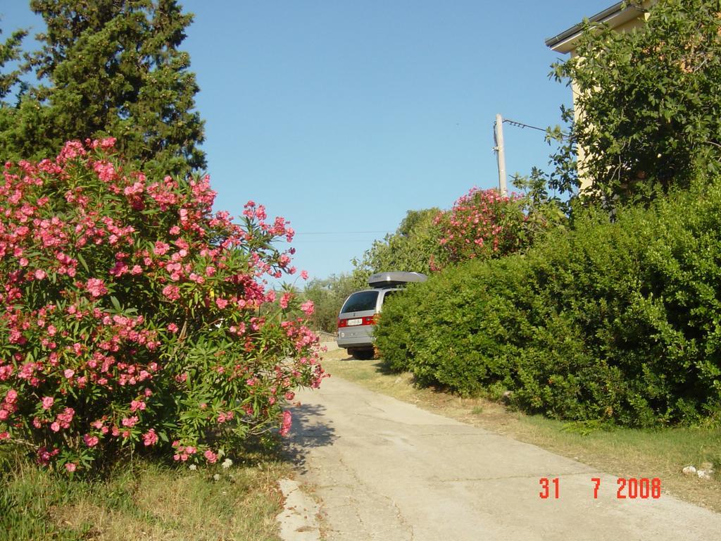 Apartments Prahovic Ždrelac Buitenkant foto